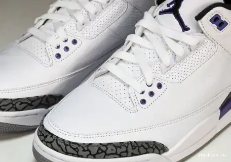 Iris CT8532-105 3 CT8532-105 Jordan Dark Retro 0504